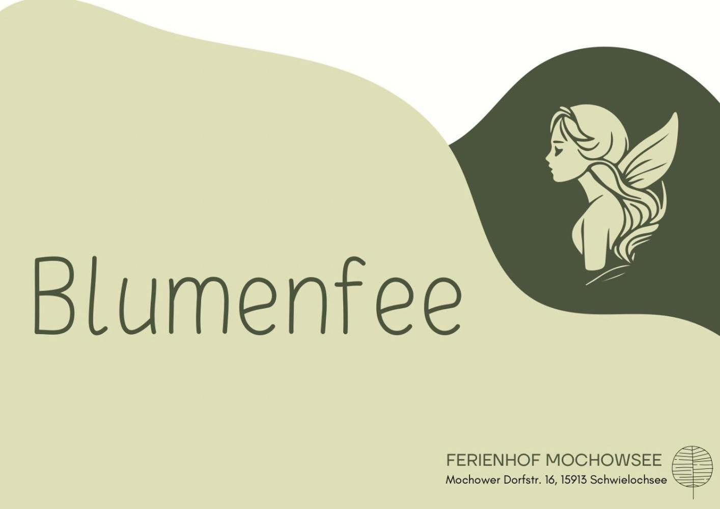 Ferienhof Mochowsee 슈빌록제 객실 사진